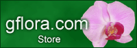 Store home